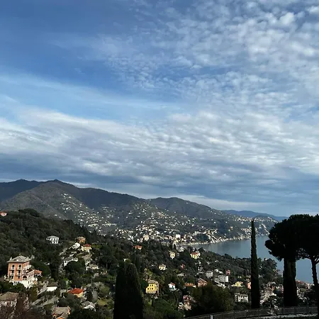 Alba Sul Mare